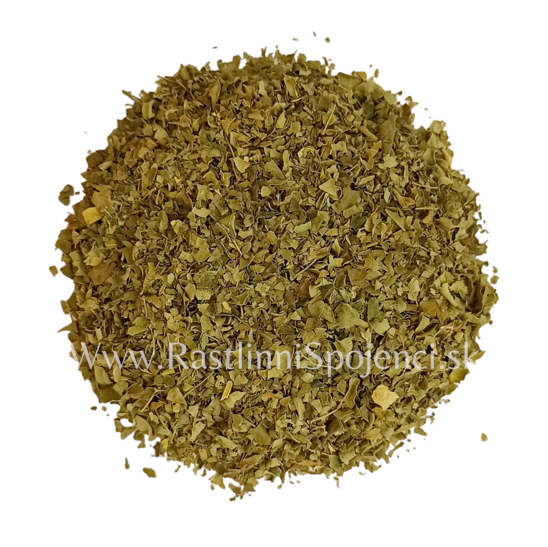 Moringa olejodarná (Moringa oleifera)